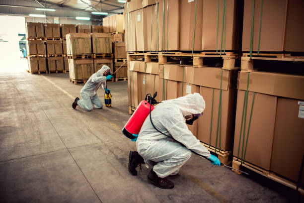 Best Best Pest Control Near Me  in Hasson Heights, PA
