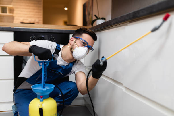 Best Local Pest Control Services  in Hasson Heights, PA