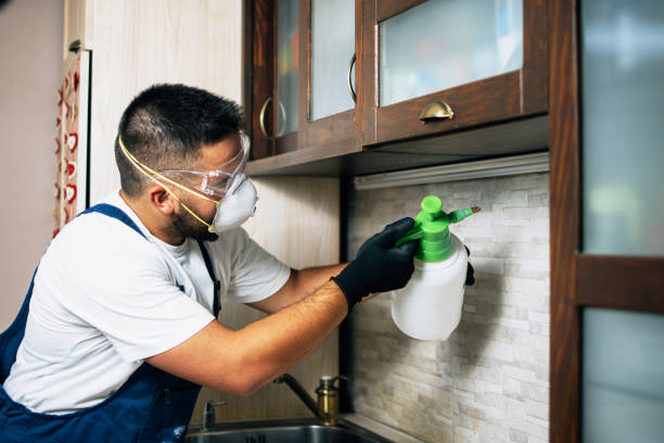 Best Commercial Pest Control Services  in Hasson Heights, PA
