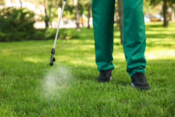Best Bed Bug Extermination  in Hasson Heights, PA