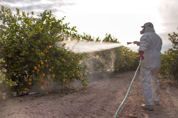 Professional Pest Control in Hasson Heights, PA