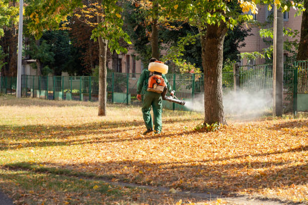 Best Flea Control Services  in Hasson Heights, PA