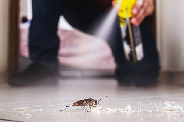 Best Pest Control Near Me  in Hasson Heights, PA